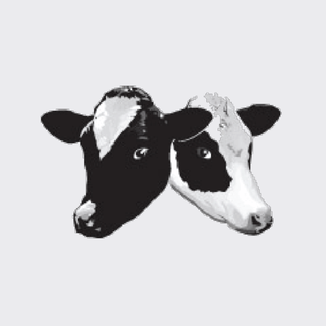 Логотип акции Tucows Inc, TCX